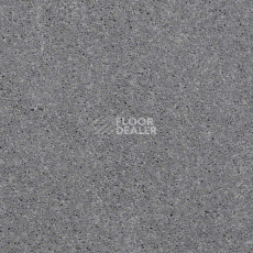 Ковролин Shaw Design Texture Platinum 541 фото 1 | FLOORDEALER