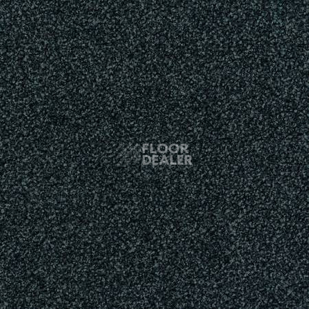 Ковролин Desso Torso-Brlm 9502 фото 1 | FLOORDEALER
