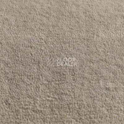 Ковролин Jacaranda Carpets Jaspur Vellum фото 1 | FLOORDEALER