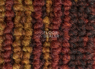 IVC Rudiments Коллекция Clay Create Clay Create 325 фото 5 | FLOORDEALER