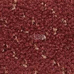 Ковролин Infloor Como 140 фото 1 | FLOORDEALER