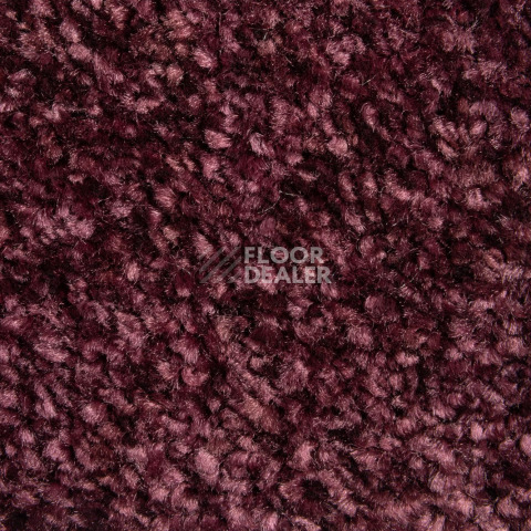 Balsan Sweet Dreams 860 фото 2 | FLOORDEALER