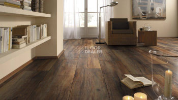 Kronotex Exquisit Plus d3570 Дуб Портовый фото 2 | FLOORDEALER