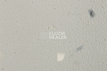 Forbo SureStep Star 176032 smoke фото 2 | FLOORDEALER