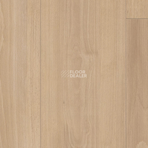 Ламинат Kronotex Exquisit Plus d80912 Бук натуральный фото 1 | FLOORDEALER
