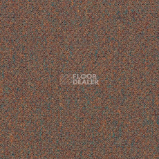 Ковровая плитка Shaw Momentum 02715 фото 1 | FLOORDEALER