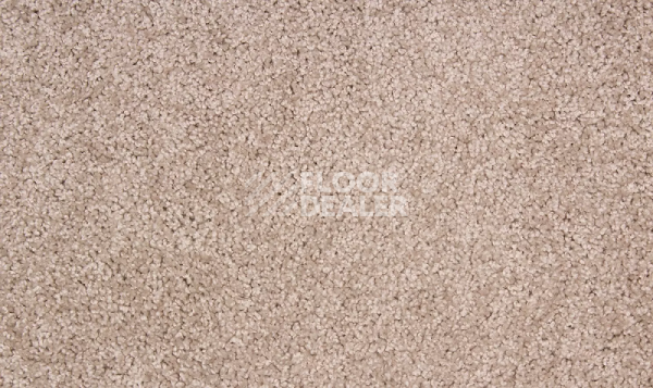 Ковролин Betap Makao 76 фото 1 | FLOORDEALER