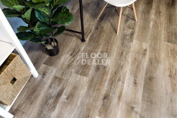 Alpine Floor Easy Line 3мм ДУБ МЕДОВЫЙ ECO 3-17 фото 4 | FLOORDEALER
