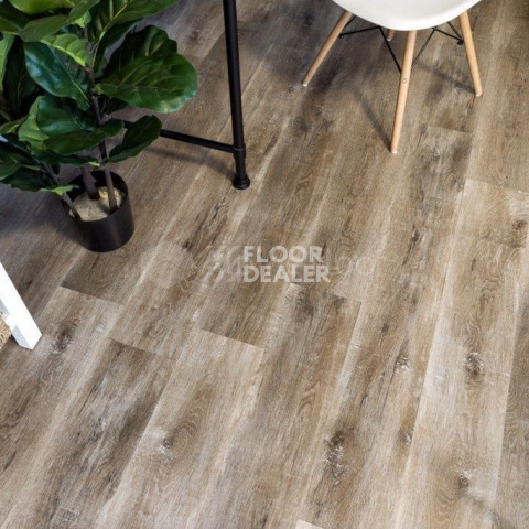 Alpine Floor Easy Line 3мм ДУБ МЕДОВЫЙ ECO 3-17 фото 4 | FLOORDEALER