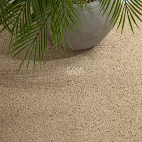 Haima Noble 41 фото 10 | FLOORDEALER