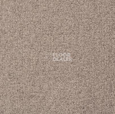 Ковролин Betap Transmit 840 фото 1 | FLOORDEALER