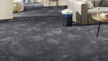 Vorwerk Superior 1064/Lyrica Vorwerk 5x80 фото 2 | FLOORDEALER