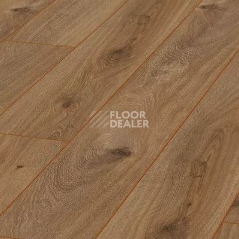 Ламинат Kronotex Aqua Amazone 10мм D4166 Дуб Престиж натуральный фото 1 | FLOORDEALER