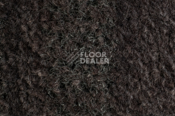 Forbo Coral Interior 1525 Prairie Dusk фото 4 | FLOORDEALER