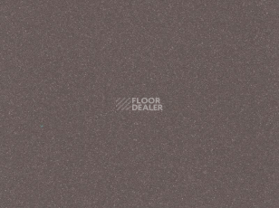 Линолеум Polyflor Polysafe QuickLay Pur 6256 фото 1 | FLOORDEALER