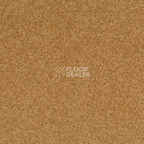 Ковровая плитка Desso Palatino 2306 фото 1 | FLOORDEALER
