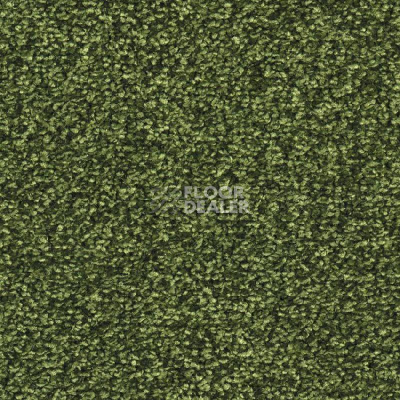 Ковровая плитка Balsan Ultrasoft Planks 270 фото 1 | FLOORDEALER