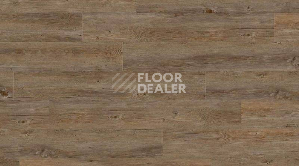Кварцвиниловые полы Gerflor Creation 55 0457_Buffalo фото 1 | FLOORDEALER