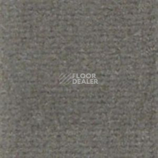 Ковролин Infloor Casa 550 фото 1 | FLOORDEALER