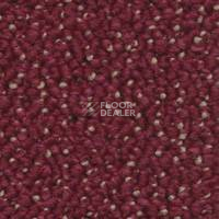 Ковролин Dura Level One 442 фото 1 | FLOORDEALER