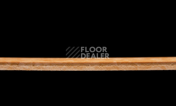 Tarkett iq Melodia 2635 фото 4 | FLOORDEALER