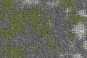 Ковровая плитка Bloq Small 622 Fern c фото  | FLOORDEALER