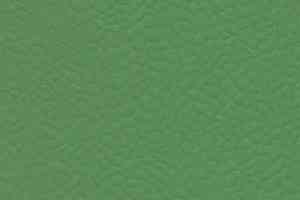 Линолеум Gerflor Recreation 45 Uni 6556_Verde фото  | FLOORDEALER