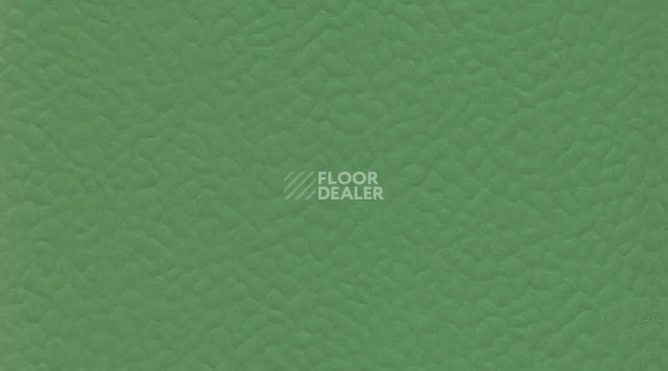 Линолеум Gerflor Recreation 45 Uni 6556_Verde фото 1 | FLOORDEALER