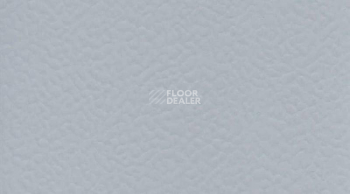 Линолеум Gerflor Taraflex Performance Uni 6758_Silver_Gray фото 1 | FLOORDEALER