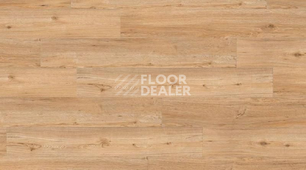 Кварцвиниловые полы Gerflor Creation 55 Looselay 0347_Ballerina фото 1 | FLOORDEALER