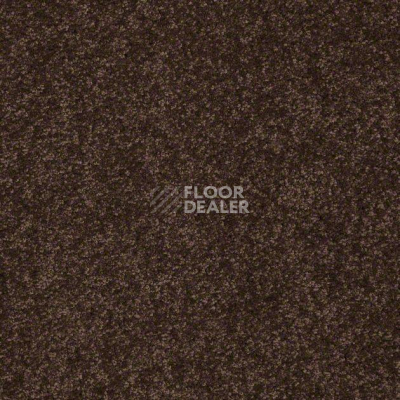Ковролин Shaw Design Texture Platinum 724 фото 1 | FLOORDEALER