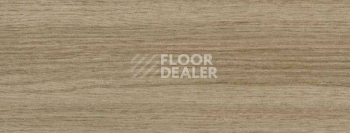 Плинтус Dollken EP 60/13 3101 фото 2 | FLOORDEALER