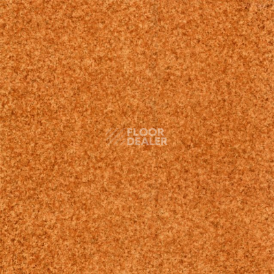 Линолеум Grabo Terrana Top Extra 4327-263 фото 1 | FLOORDEALER