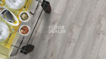 Kronotex Mammut d4793 Дуб Белый Макро фото 7 | FLOORDEALER