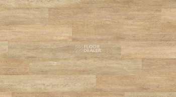 Кварцвиниловые полы Gerflor Creation 55 0441_Honey_Oak фото 1 | FLOORDEALER