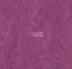Кварцвиниловые полы Forbo Marmoleum Modular Colour 3242 фото 1 | FLOORDEALER