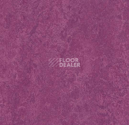 Кварцвиниловые полы Forbo Marmoleum Modular Colour 3242 фото 1 | FLOORDEALER