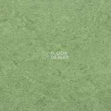 Линолеум Gerflor Marmorette DLW  2mm 0100 Frog Green фото 1 | FLOORDEALER