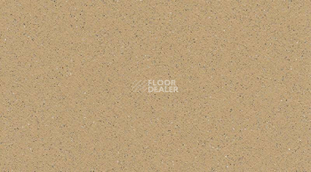 Линолеум Gerflor Tarasafe Standard 7302_Sahara фото 1 | FLOORDEALER