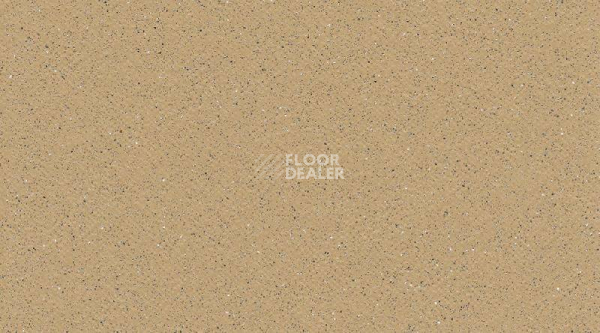 Линолеум Gerflor Tarasafe Standard 7302_Sahara фото 1 | FLOORDEALER