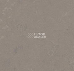 Линолеум Forbo Marmoleum Decibel 370235 liquid clay фото 1 | FLOORDEALER