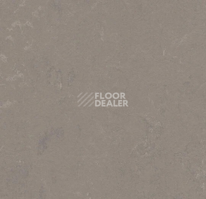 Линолеум Forbo Marmoleum Decibel 370235 liquid clay фото 1 | FLOORDEALER