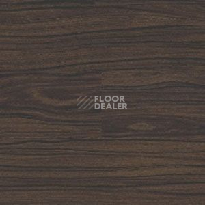 Линолеум Polyflor Expona Wood 6191 фото 1 | FLOORDEALER