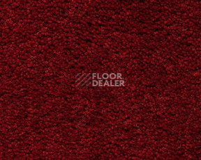Ковролин Best Wool Pure Brunel g 70003 фото 1 | FLOORDEALER