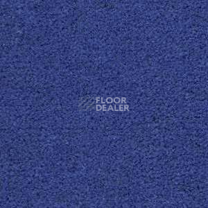 Ковролин Radici Montecarlo 33 фото 1 | FLOORDEALER