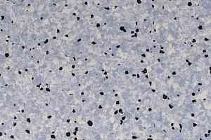 Линолеум DLV Flooring Standard Conductive 804 Lake фото  | FLOORDEALER