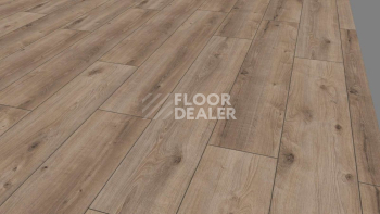 Kronotex Exquisit Plus d6020 Дуб Кашмир Титан фото 7 | FLOORDEALER
