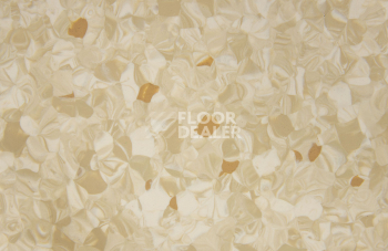 Tarkett Primo Plus 302 фото 2 | FLOORDEALER