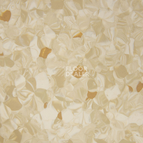 Tarkett Primo Plus 302 фото 2 | FLOORDEALER