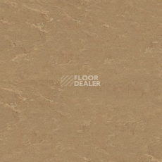 Кварцвиниловые полы Polyflex Plus PU 7100 фото 1 | FLOORDEALER